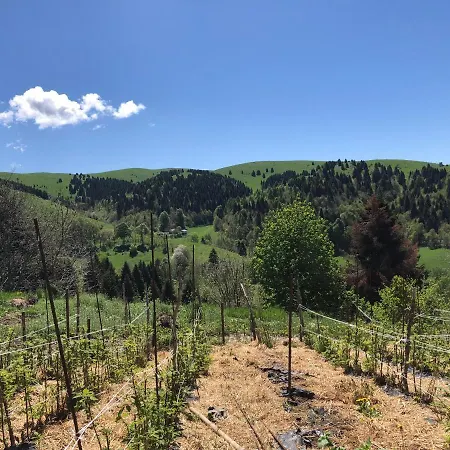 Agriturismo Col Beretta Κατάλυμα σε φάρμα