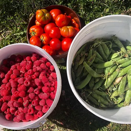 Agriturismo Col Beretta Κατάλυμα σε φάρμα Cason delle Fratte