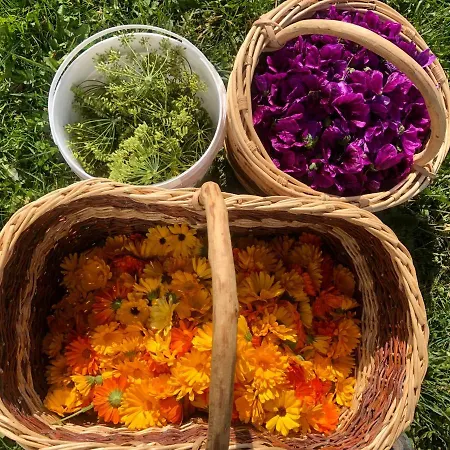 Agriturismo Col Beretta Κατάλυμα σε φάρμα *