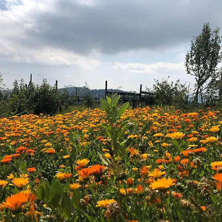 Agriturismo Col Beretta Cason delle Fratte